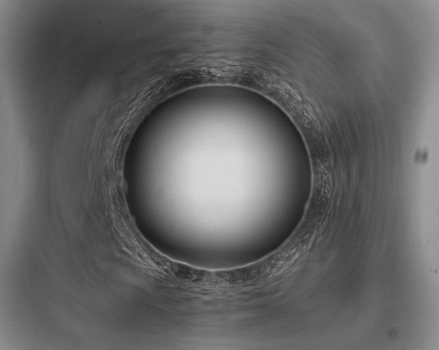 X0000097981009200803241254