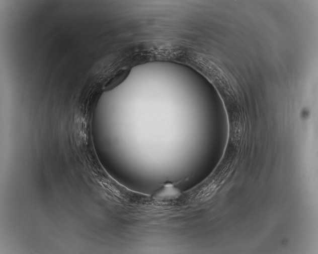 X0000097981010200803241254