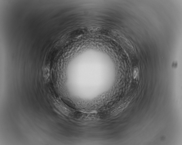 X0000097981011200803241254