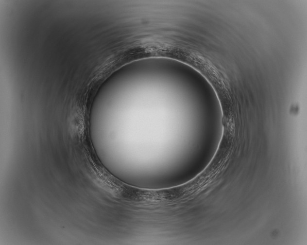 X0000097981012200803241254