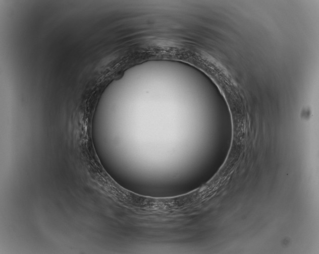 X0000097981013200803241254