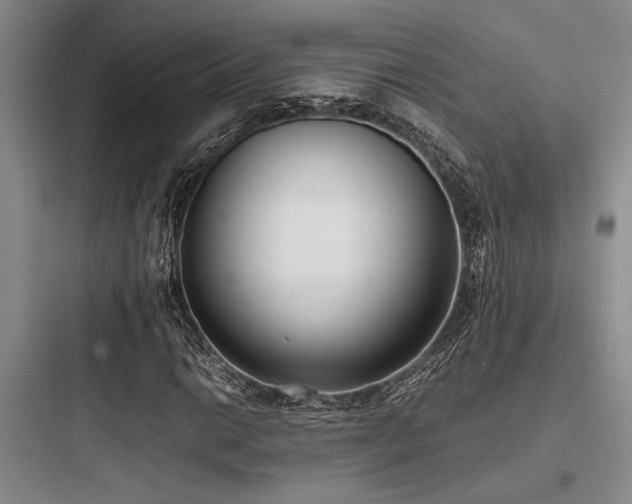 X0000097981014200803241254