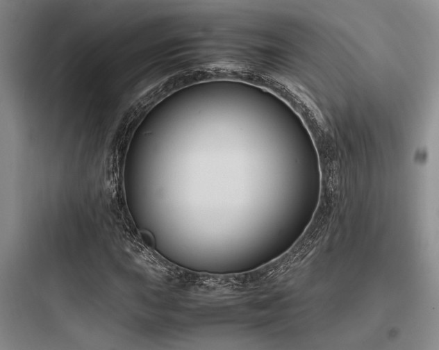 X0000097981015200803241254