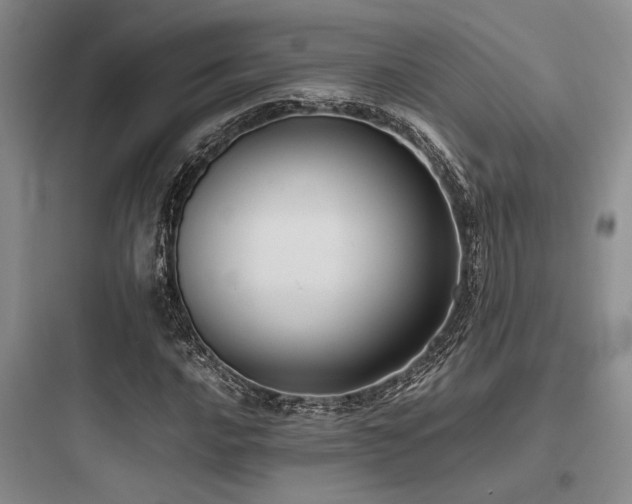 X0000097981016200803241254