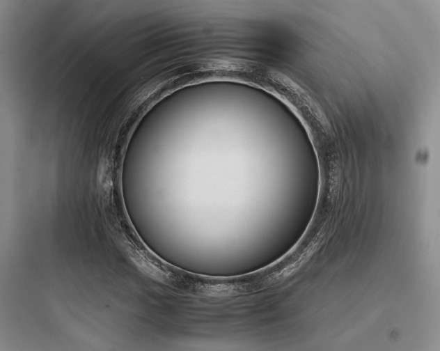 X0000097981017200803241254