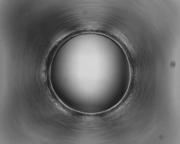X0000097981018200803241254