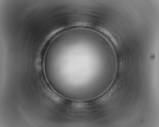 X0000097981019200803241254