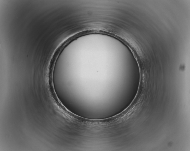 X0000097981020200803241254