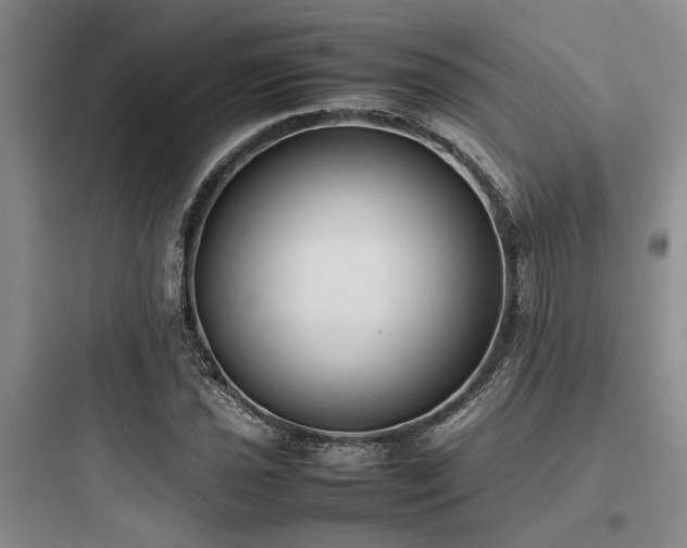 X0000097981021200803241254