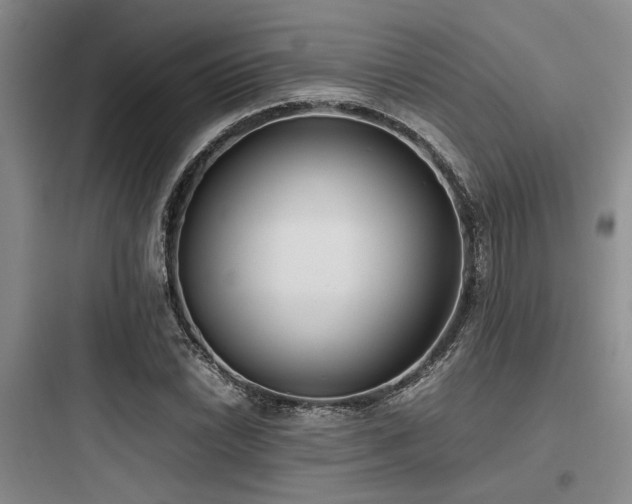 X0000097981022200803241254