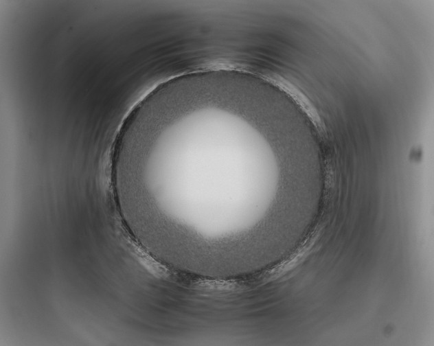 X0000097981023200803241254