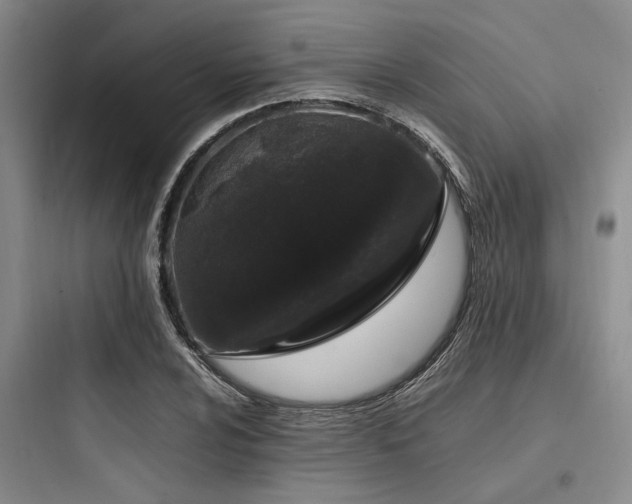 X0000097981024200803241254