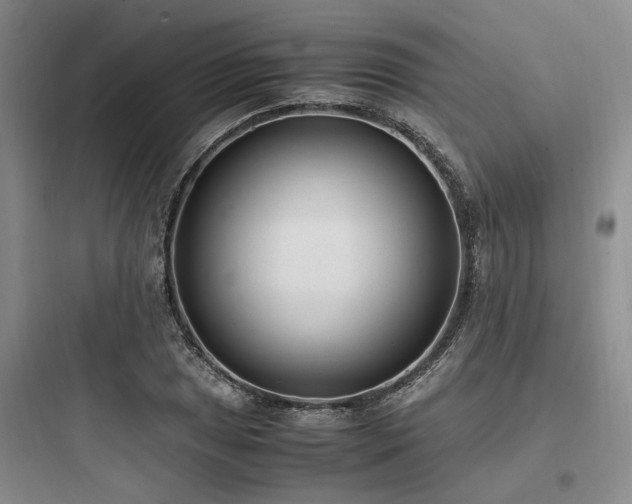 X0000097981025200803241254