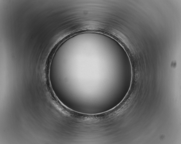 X0000097981026200803241254