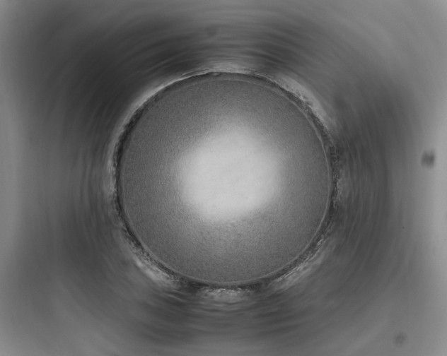 X0000097981027200803241254