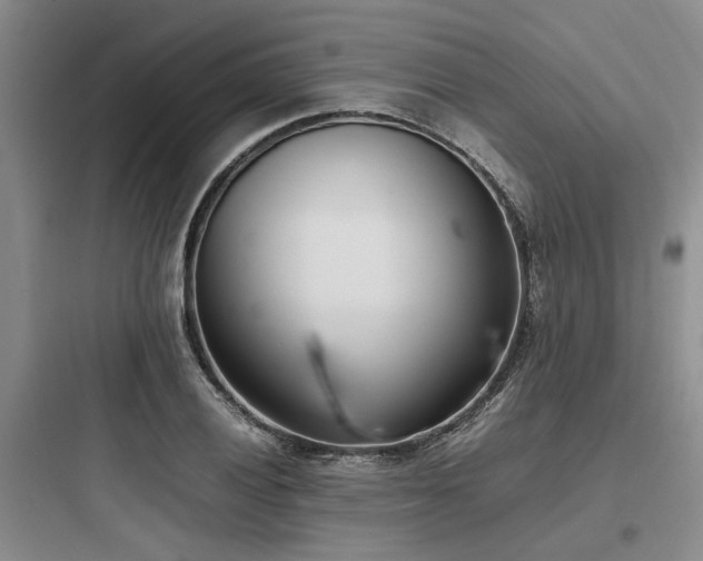 X0000097981028200803241254