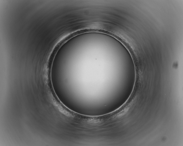 X0000097981029200803241254