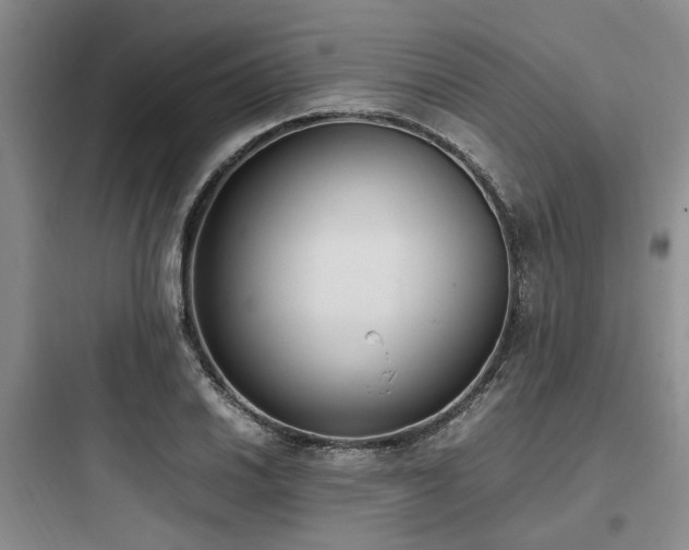 X0000097981030200803241254
