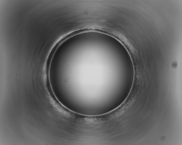 X0000097981032200803241254