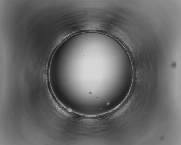 X0000097981033200803241254