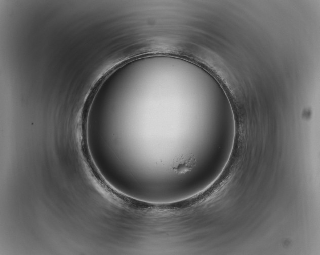 X0000097981034200803241254