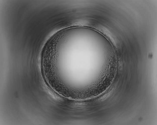 X0000097981035200803241254