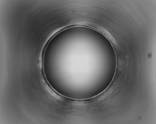 X0000097981036200803241254