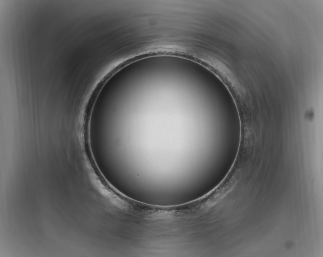 X0000097981038200803241254