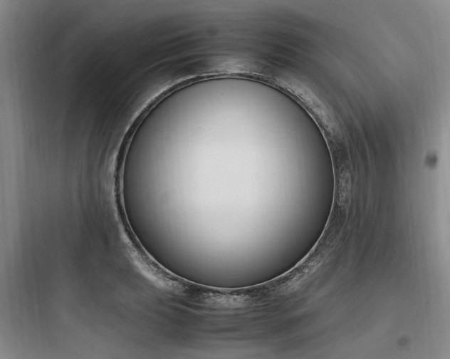 X0000097981039200803241254