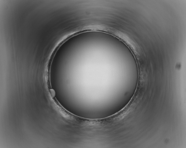 X0000097981040200803241254