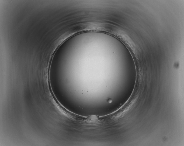 X0000097981041200803241254