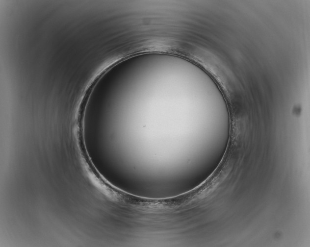 X0000097981042200803241254