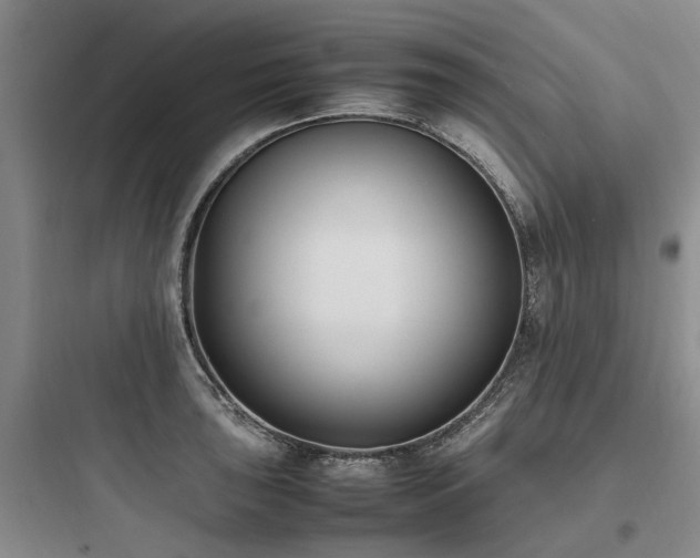 X0000097981043200803241254
