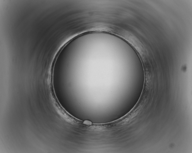 X0000097981044200803241254