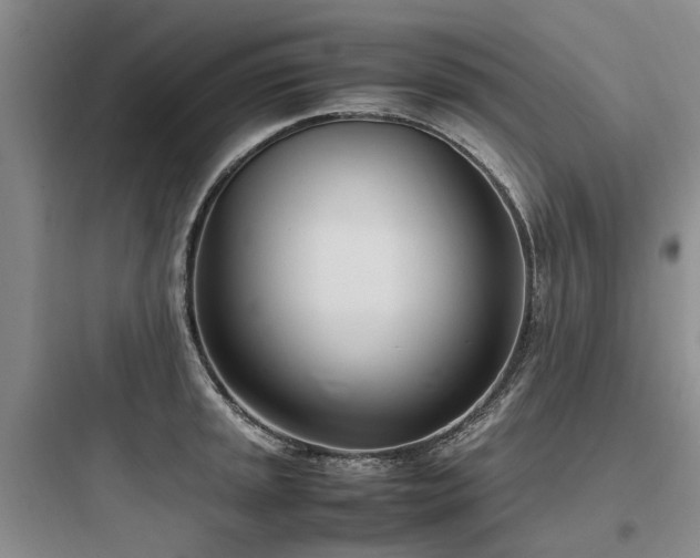 X0000097981045200803241254