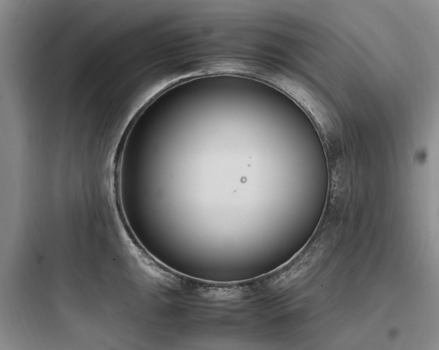 X0000097981047200803241254