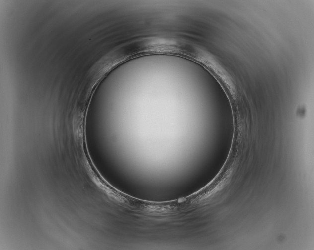 X0000097981049200803241254