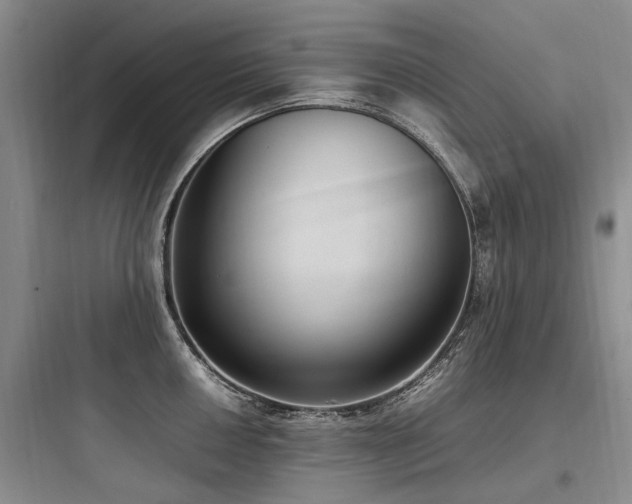 X0000097981050200803241254