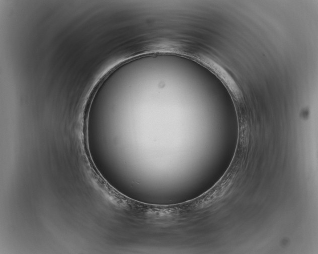 X0000097981051200803241254