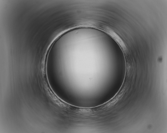 X0000097981052200803241254