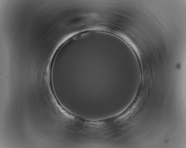 X0000097981053200803241254