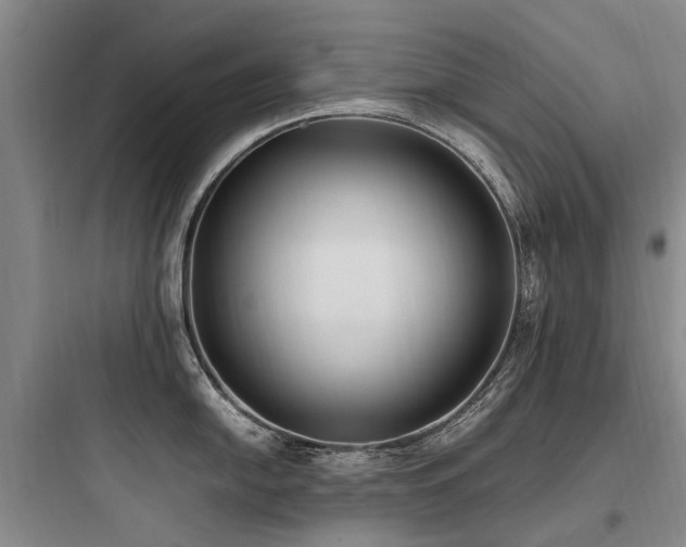 X0000097981054200803241254