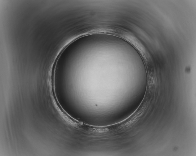 X0000097981055200803241254