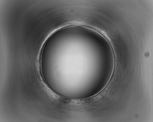 X0000097981056200803241255