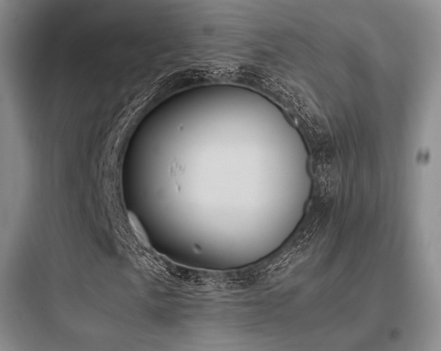 X0000097981057200803241254