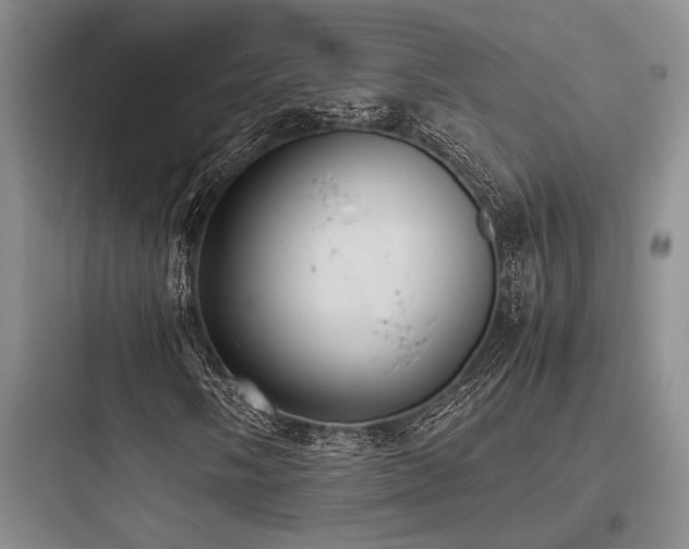 X0000097981058200803241254