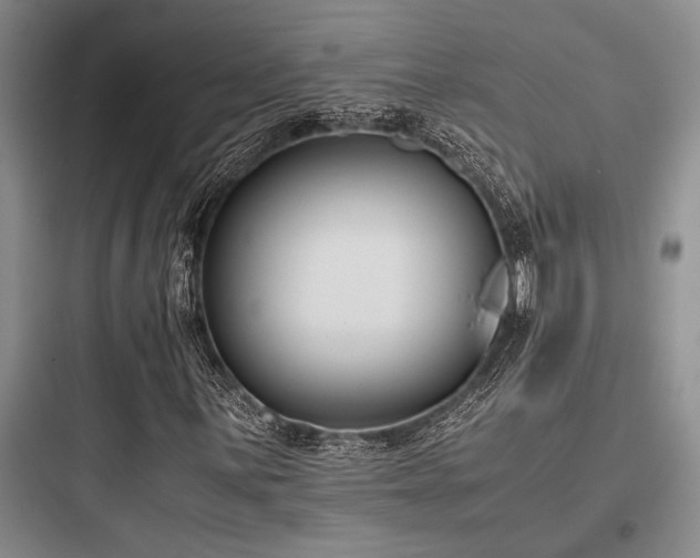 X0000097981059200803241254