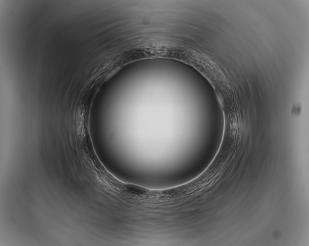 X0000097981060200803241254