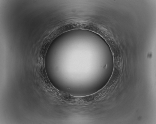 X0000097981061200803241254