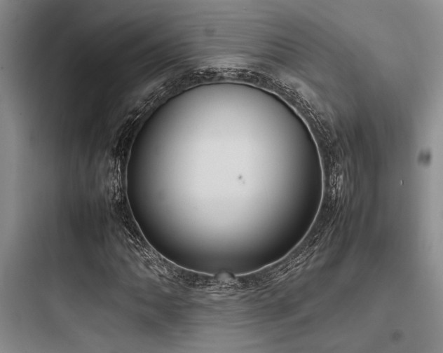 X0000097981062200803241254